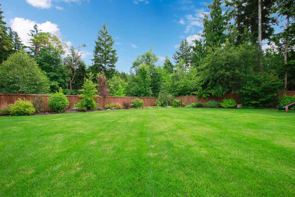 Sod Installation in Elberton, GA